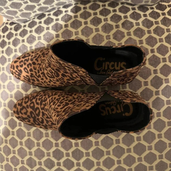 Circus by Sam Edelman Preston Leopard Booties - Picture 5 of 9